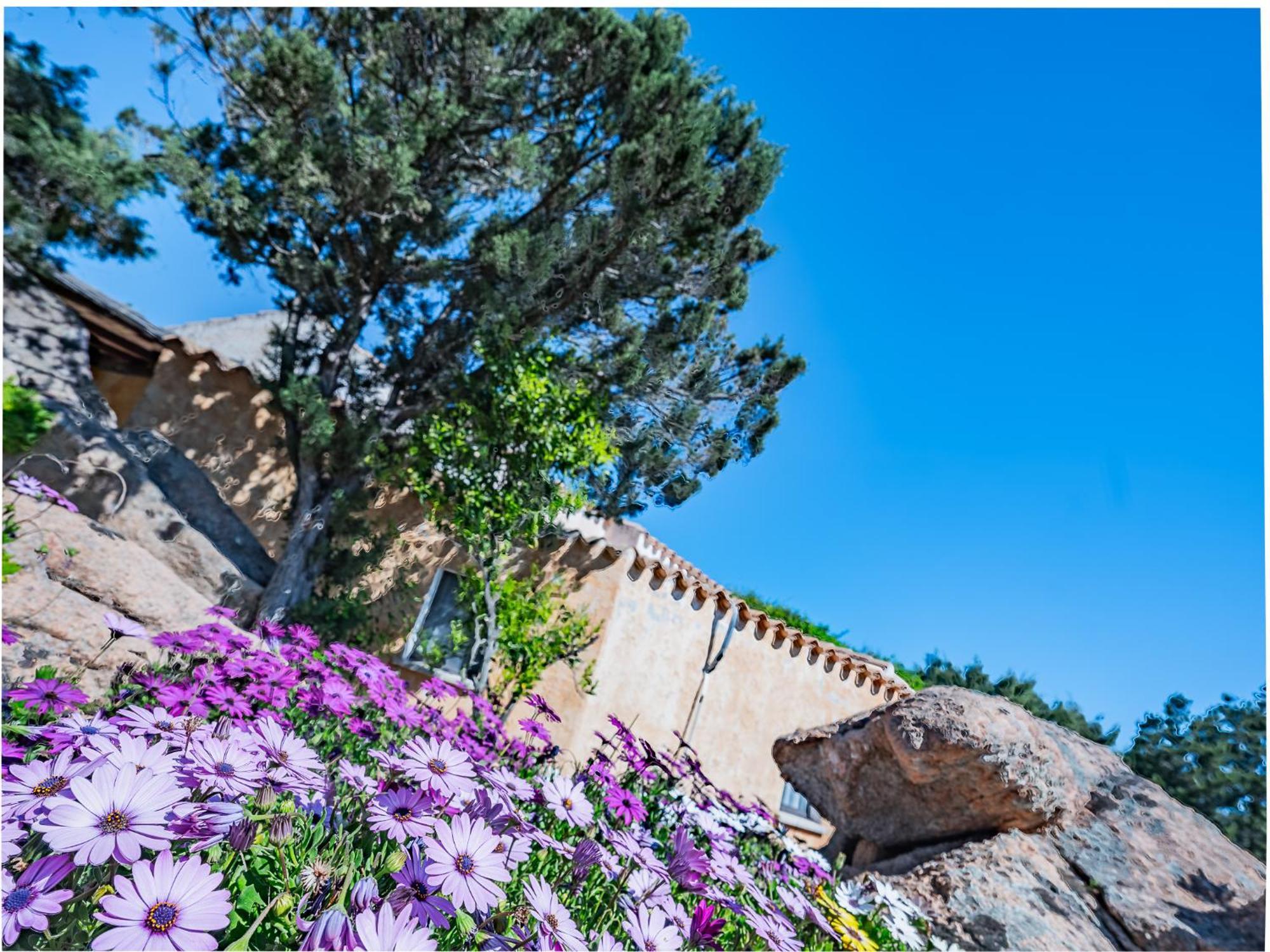 אביאדורי Sardinia Family Villas - Villa Nina With Private Pool מראה חיצוני תמונה